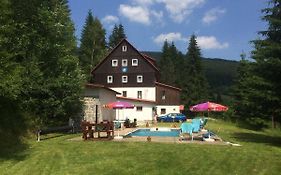 Hotel Flora Dolni Misecky